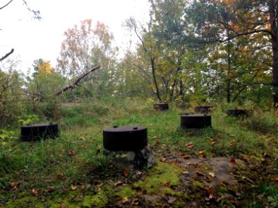Tureborg Castle 2014-10-01 - no. 54