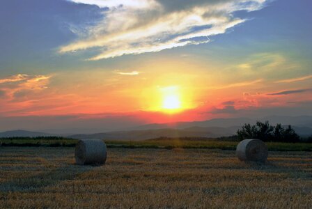 Sky wheat landscape photo