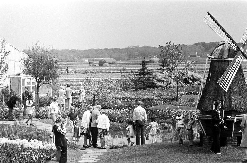 Tulpen, bloemen, tentoonstellingen, toeristen, Bestanddeelnr 927-9164