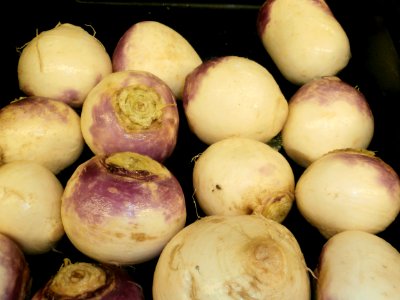 Turnips in a bin photo