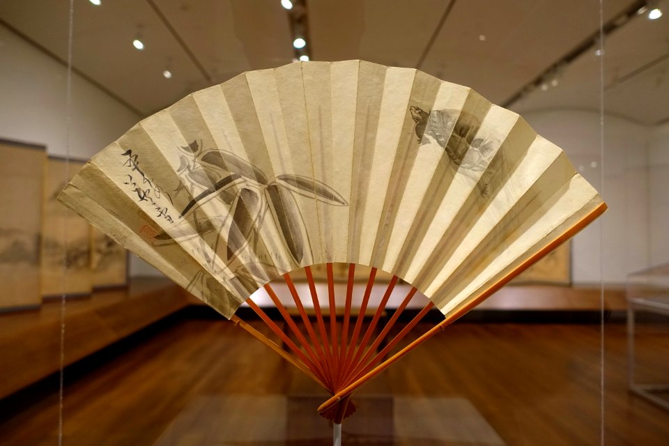 Turtle and Bamboo, by Nagasawa Rosetsu, Japan, Edo period, 1787-1799 AD, folding fan with ink and light color on paper - Sackler Museum - Harvard University - DSC01938