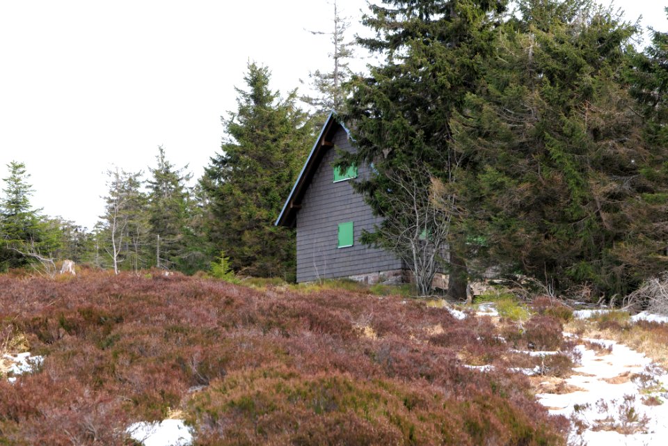 Tullahütte Hundsrücken 2020-03-14 04