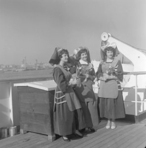 Tulpen-afvaarten van de HAL Rotterdam, Bestanddeelnr 913-6524