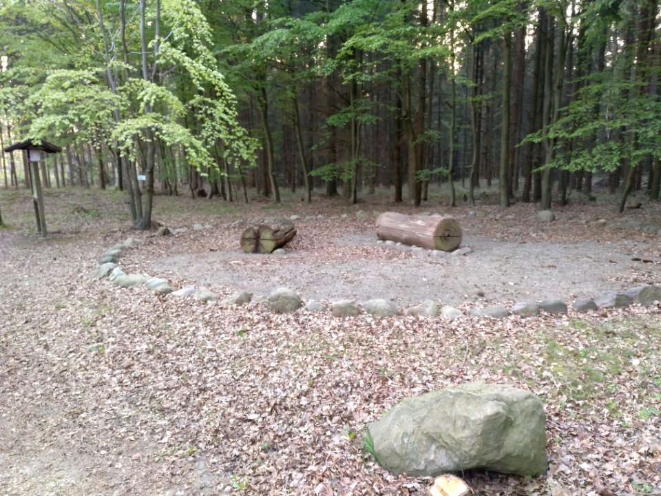 Tumulus of Vierde (2), Heidekreis, 2020