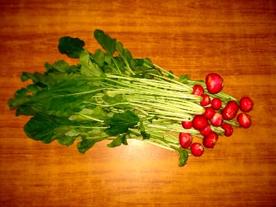 Turnip (Red Turnip)