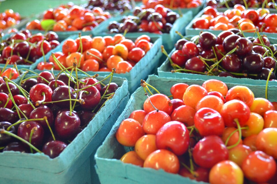 Organic healthy fresh