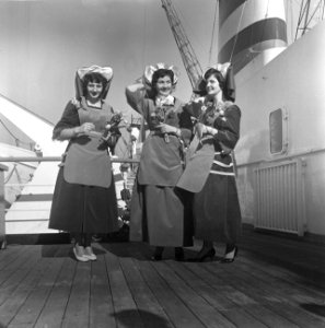 Tulpen-afvaarten van de HAL Rotterdam, Bestanddeelnr 913-6526