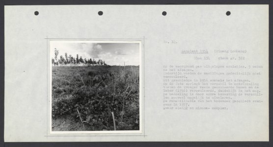 Tussenblad, Bestanddeelnr 817 26