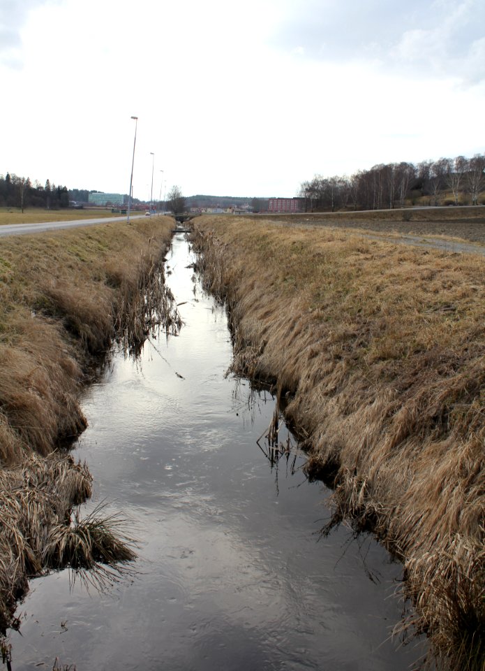 Tumbaån