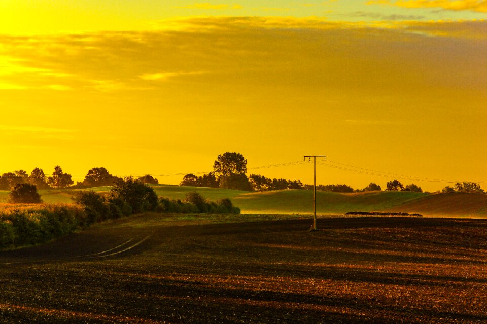 Morning sunrise morning mist