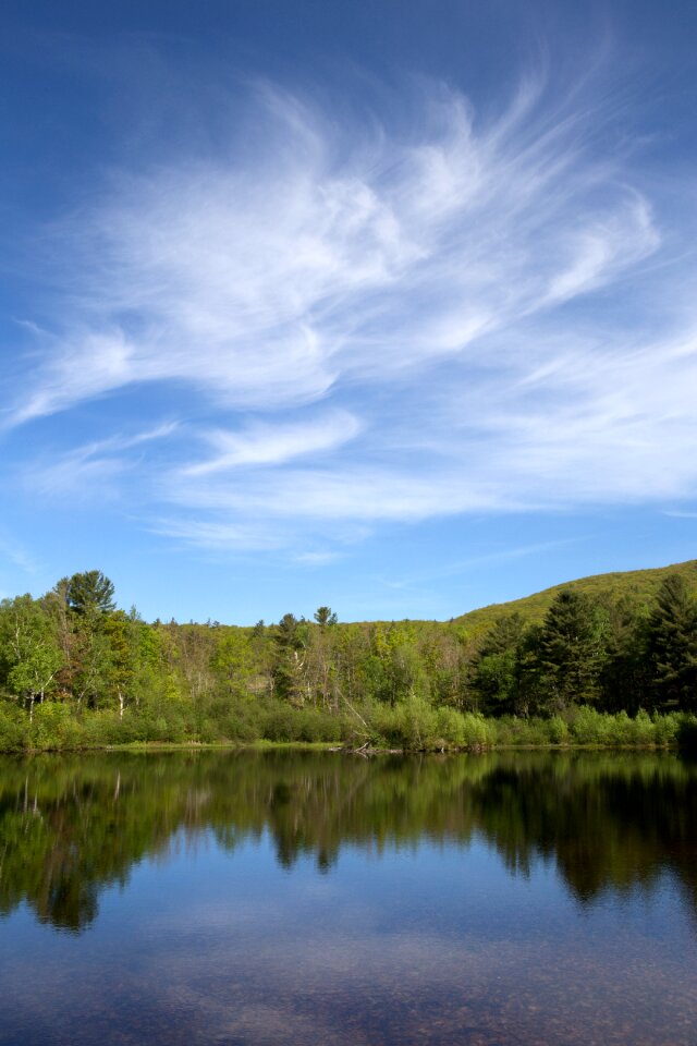 Pond sky summer photo