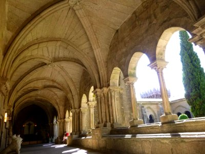 Tuy - Catedral de Santa María, claustro 16