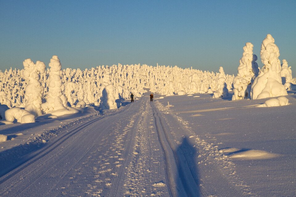 Wintry cross country skiing trail