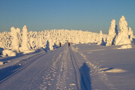 Wintry cross country skiing trail