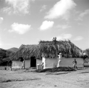 Twee cunucu-huisjes op Curaçao, Bestanddeelnr 252-7352