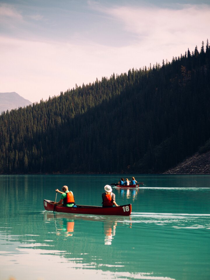 Forest lake landscape