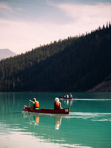 Forest lake landscape