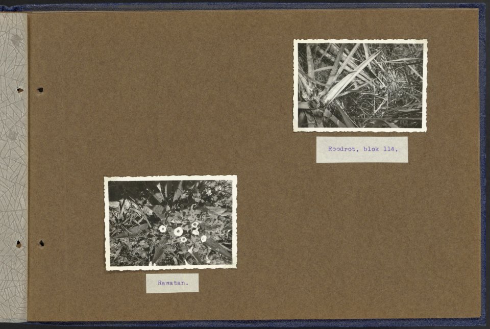 Tussenblad Pompgebouw met ketels, Bestanddeelnr 846 11