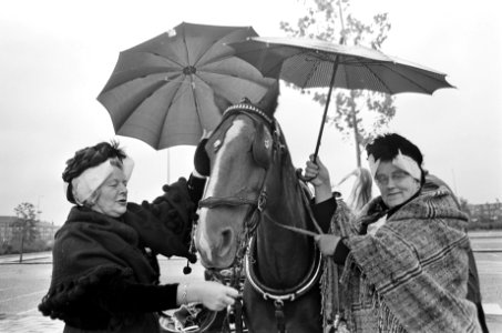 Twee dames uit Alblasserdam beschermen hun paard tegen de regen, Bestanddeelnr 919-6366