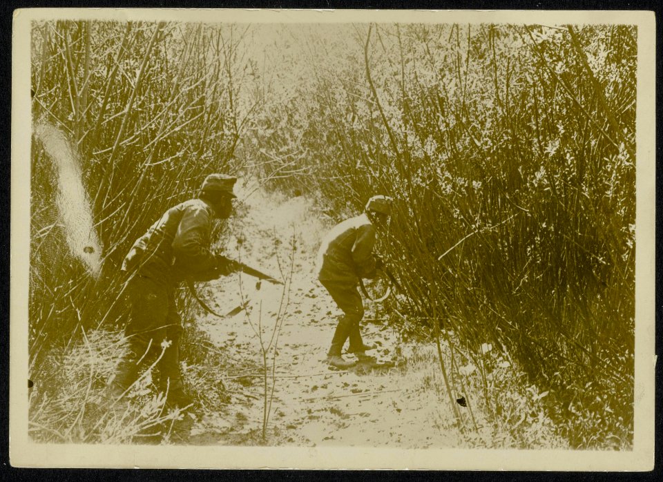 Twee bewapende militairen in struikgewas, Bestanddeelnr 158-0348
