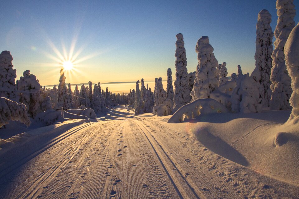 Cross country skiing trail sun