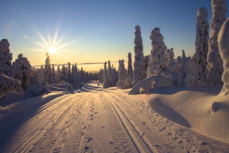 Cross country skiing trail sun photo
