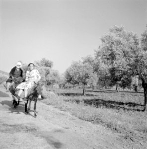Twee Druzische vrouwen, elk op een ezel, op een weg langs een boomgaard, Bestanddeelnr 255-3745