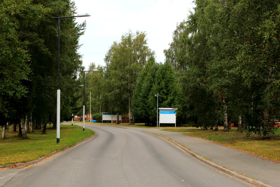 Tutkijantie Oulu 20190818