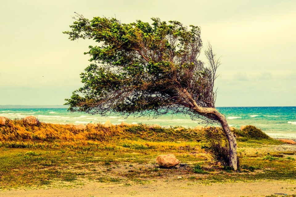 Wind scenery larnaca
