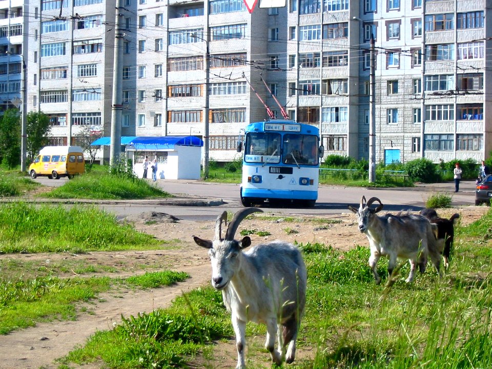 Tver trolleybus 001 20050626 143