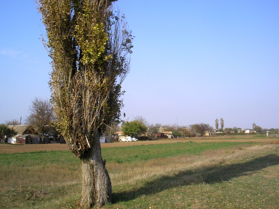TutovoeDzh 5
