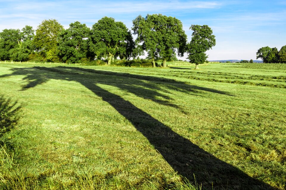 Perspective late summer nature