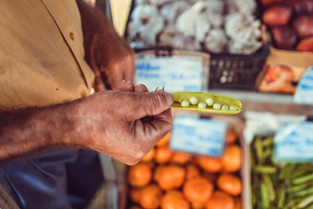 Harvest macro market