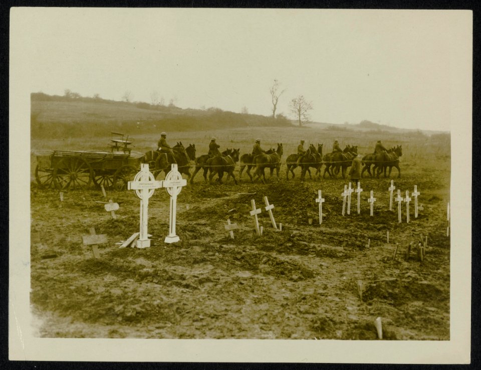 Twelve horse teams are used in taking ammunition over the heavy ground, Bestanddeelnr 158-0382