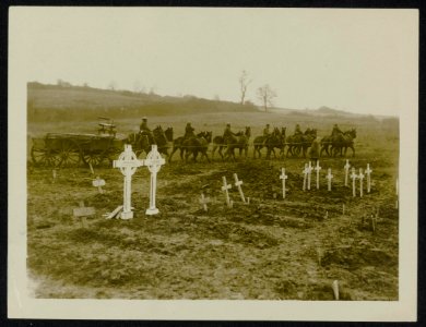 Twelve horse teams are used in taking ammunition over the heavy ground, Bestanddeelnr 158-0382