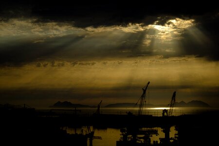 City cranes rays
