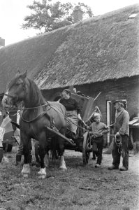 TV-opnamen Bartje in Sleen, Bartje met vader en moeder bij paard en wagen, Bestanddeelnr 925-7800 photo