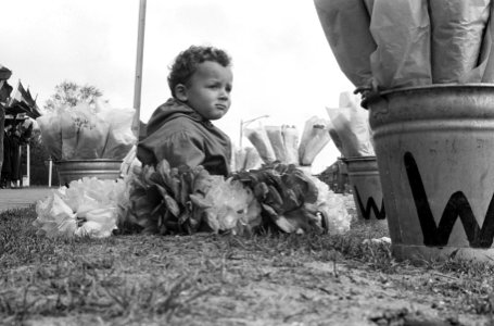 Tweejarige Michel verkoopt in bloemenstand van vader, Bestanddeelnr 913-9074 photo