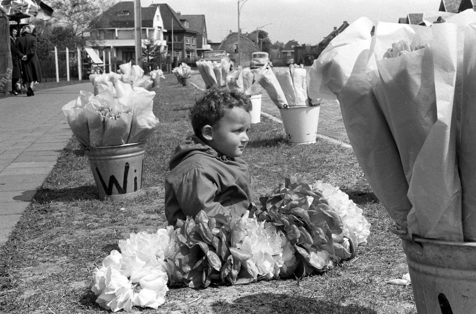 Tweejarige Michel verkoopt in bloemenstand van vader, Bestanddeelnr 913-9073