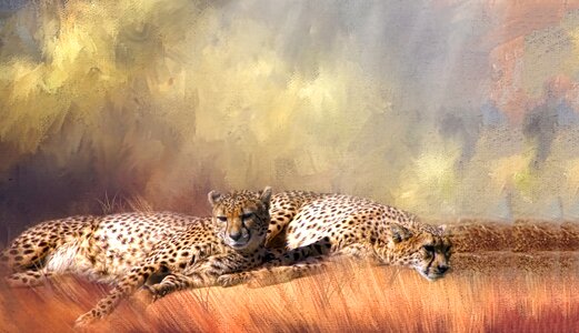 Big cats composite feline