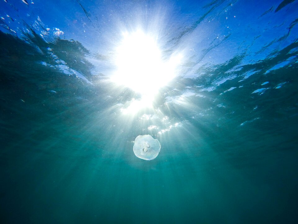Ocean sea sun glare