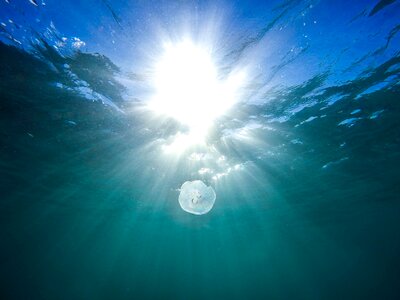 Ocean sea sun glare photo