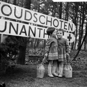 Tweelingencongres te Woudschoten in Zeist, Bestanddeelnr 912-1127