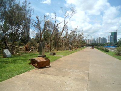 Typhoon Rammasun (2014) in Haikou - Evergreen Park - 01