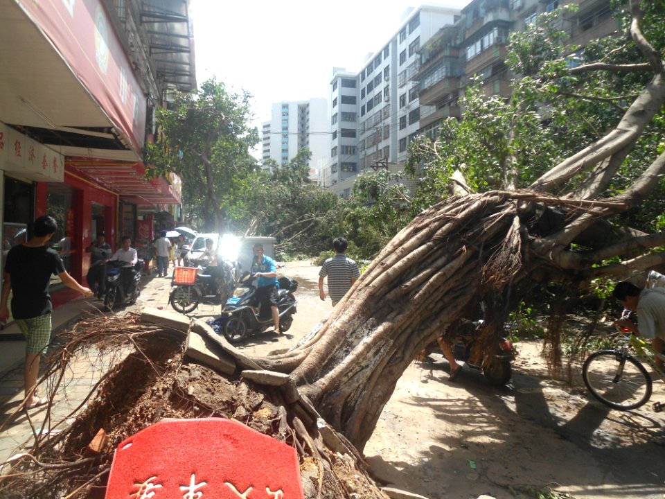 Typhoon Rammasun (2014) in Haikou - Yilong Road - 02