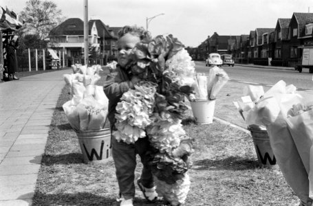 Tweejarige Michel verkoopt in bloemenstand van vader, Bestanddeelnr 913-9069 photo
