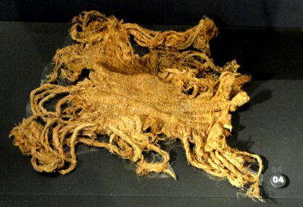 Twined bag fragment, 5300-3845 BC, Hogup Cave, Utah, plant material - Natural History Museum of Utah - DSC07349