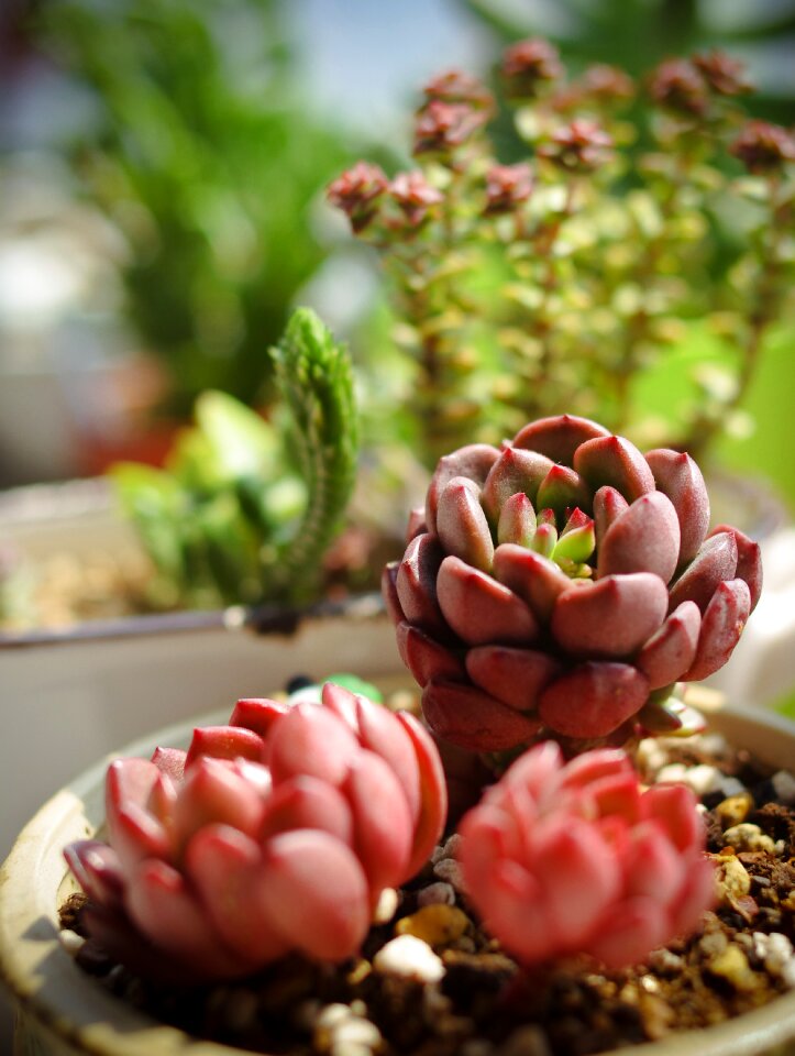 Colorful sunny bright