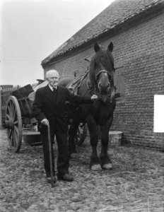 Tweeling van 89 jaar Nederweert, Bestanddeelnr 903-6807