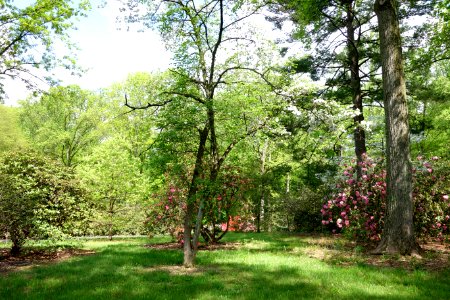 Tyler Arboretum - DSC01805
